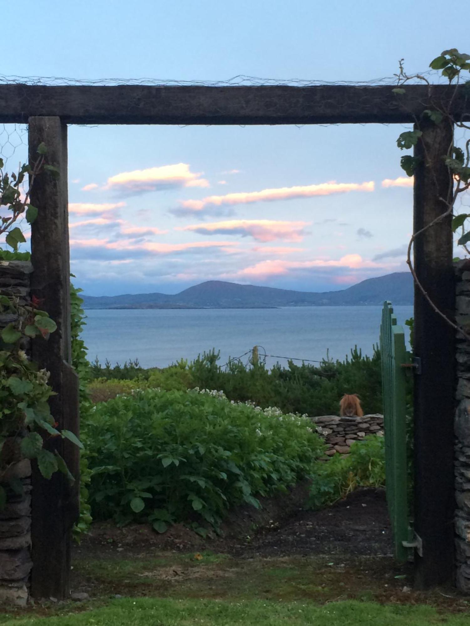 Unique Old Stone Cottage キラーニー エクステリア 写真
